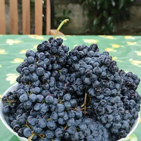 Casa Nonna Rosaria * Spezzano della Sila