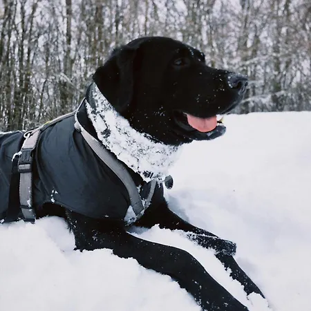 Casa Nonna Rosaria *