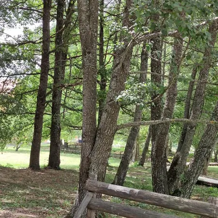 Casa Nonna Rosaria Spezzano della Sila