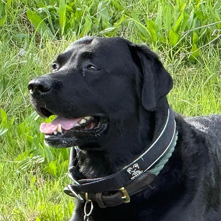 Casa Nonna Rosaria * Spezzano della Sila