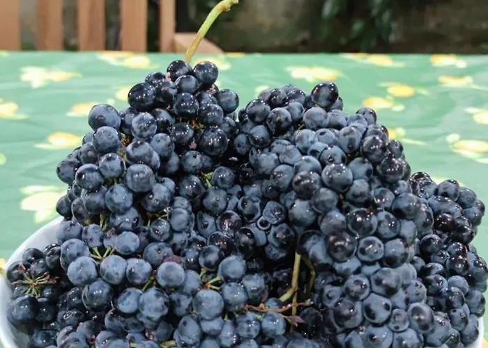 Casa Nonna Rosaria * Spezzano della Sila