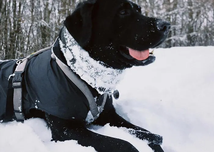 Casa Nonna Rosaria *