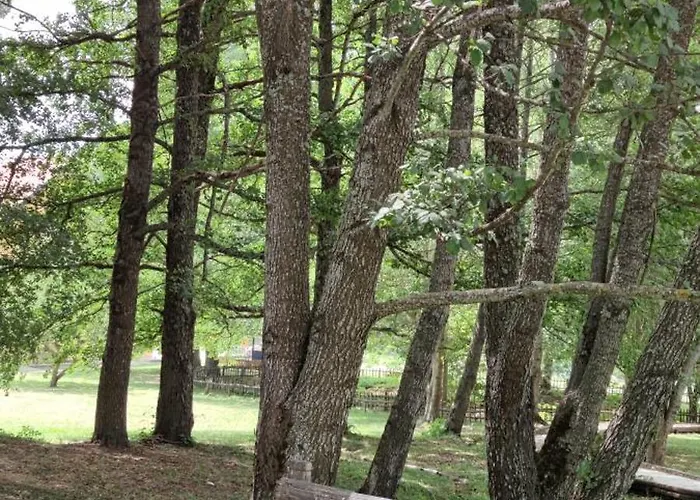 Casa Nonna Rosaria Spezzano della Sila