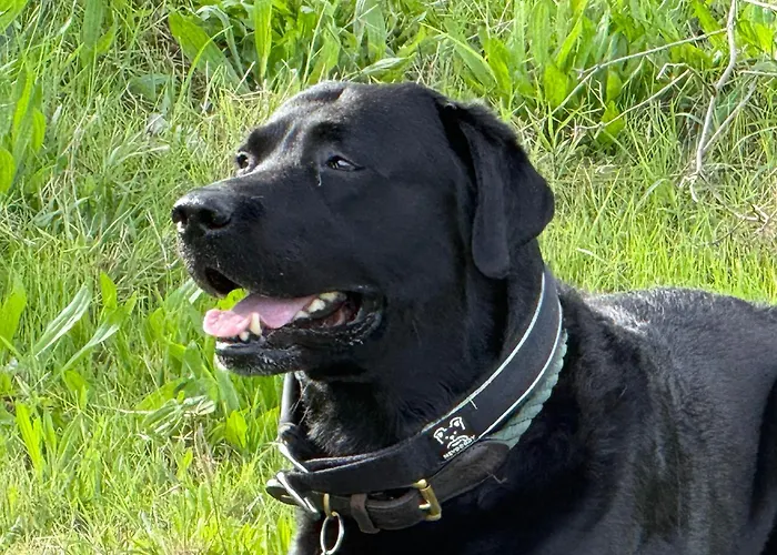 Casa Nonna Rosaria * Spezzano della Sila